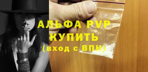 твердый Магас