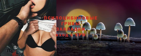 твердый Магас