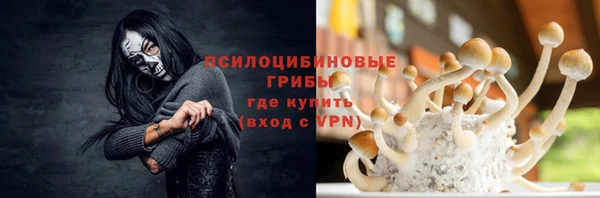 тгк Бронницы