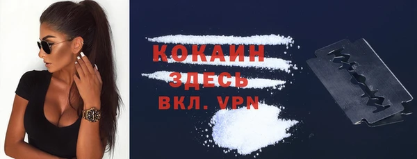твердый Магас