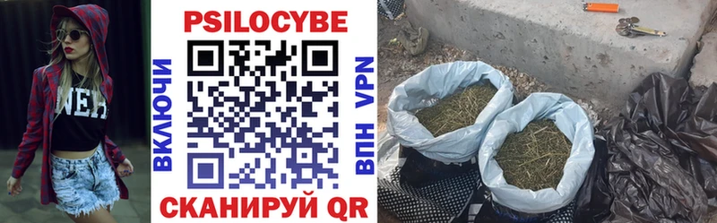 Галлюциногенные грибы GOLDEN TEACHER  Венёв 