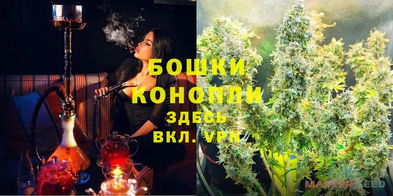 Конопля White Widow  сайты даркнета состав  Венёв  продажа наркотиков 